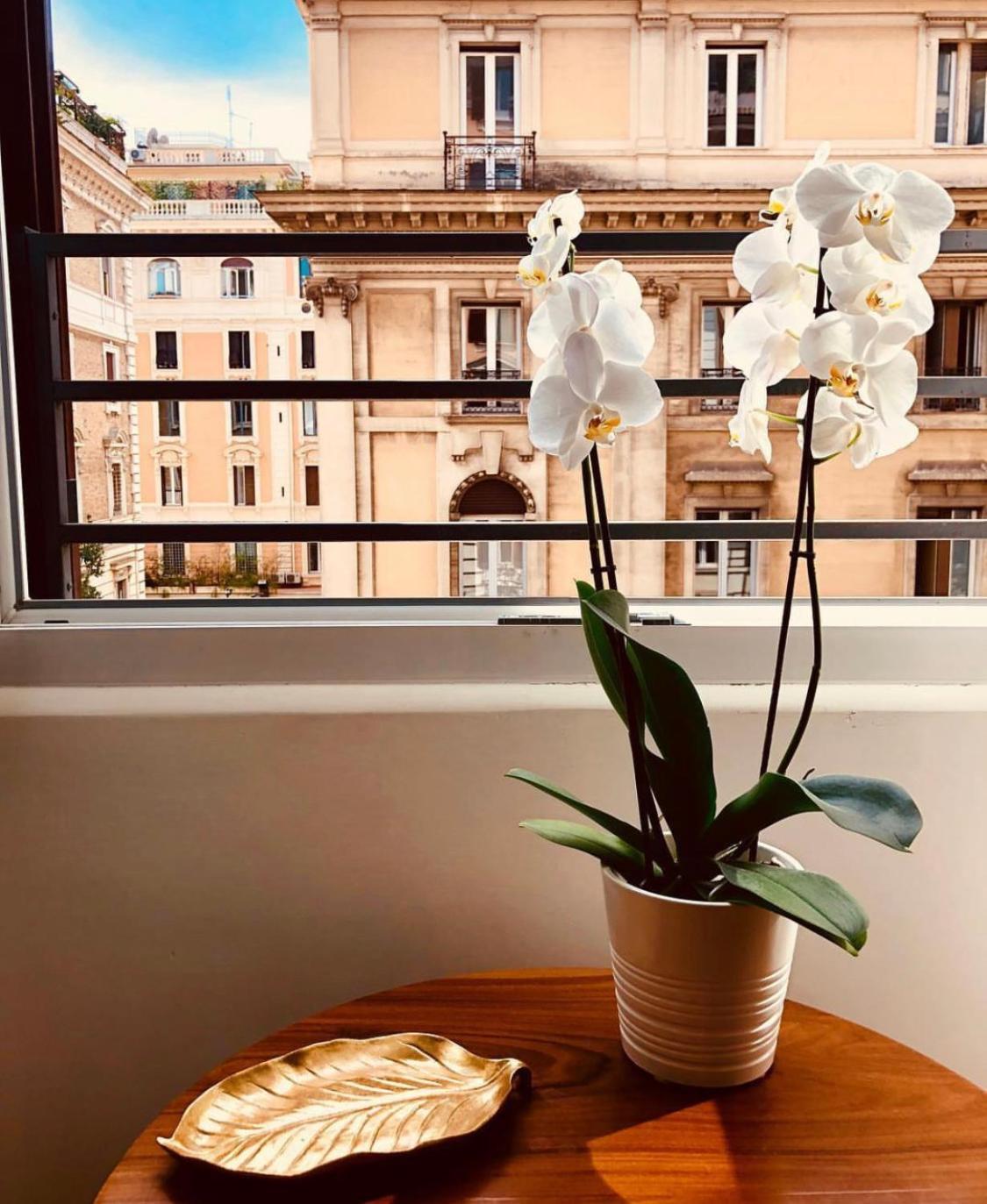 900 Piazza Del Popolo Acomodação com café da manhã 